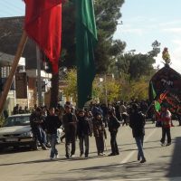 مستند هم نوا با دشت ساخته شرکت فیلم سازی تصویرآفرین مهر