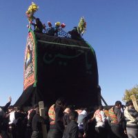 مستند هم نوا با دشت ساخته شرکت فیلم سازی تصویرآفرین مهر