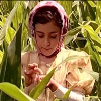 فیلم داستانی ایستگاه پل قدیمی ساخته شرکت فیلم سازی تصویرآفرین مهر