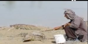 ملک دینار شجره در جستجوی گاندو ساخته شرکت فیلم سازی تصویرآفرین مهر