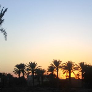 مستند روز چهاردهم ساخته شرکت فیلم سازی تصویرآفرین مهر